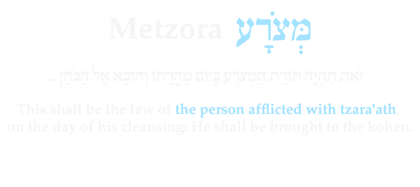 Metzora