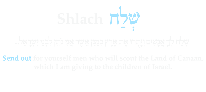 Shelach